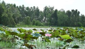 Từ TPHCM Đi Long An Bao Nhiêu Km