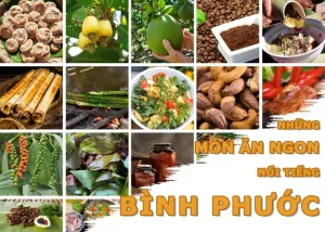 Các Món Ngon Bình Phước Phải Thử 1 Lần