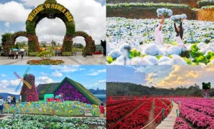 Đến Đà Lạt Nên Đi Đâu