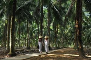 Thuê Xe 7 Chỗ Sài Gòn Đi Bến Tre